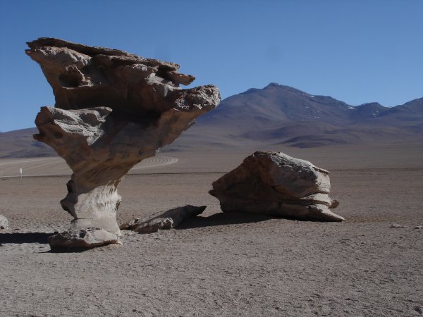 "Arboles de piedra", tedy kamenné stromy. "Dalího poušť".
